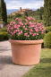 Preview: Vaso a Bugnolo Liscio – grand pot rond en terracotta originale d’Impruneta